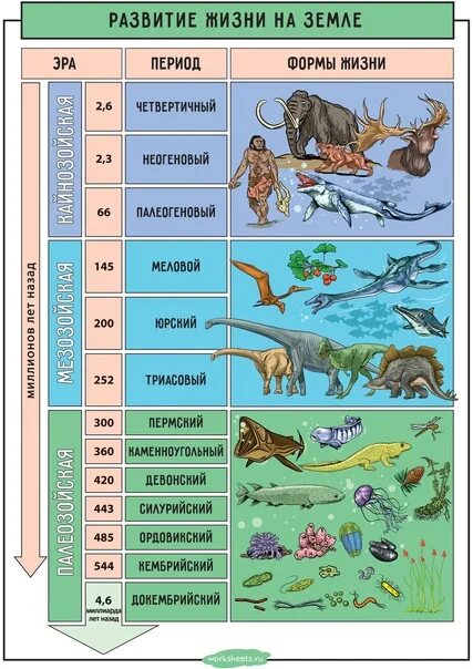 Развитие жизни насземле. Развитие жизни на змел. Этапы развития жизни на земле. Эволюция жизни на земле. Эры планеты земля