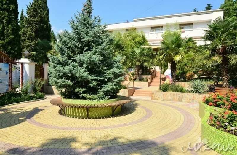 Санаторий Киев Алушта - цены 2025 год, адрес, фото, отзывы.