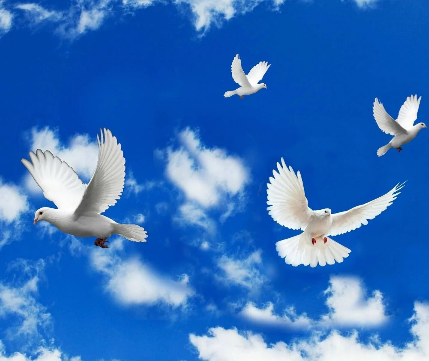 Бесплатные картинки с мирным небом