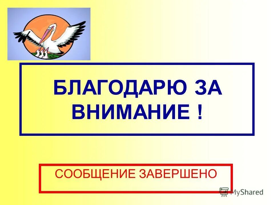 сообщения внимание