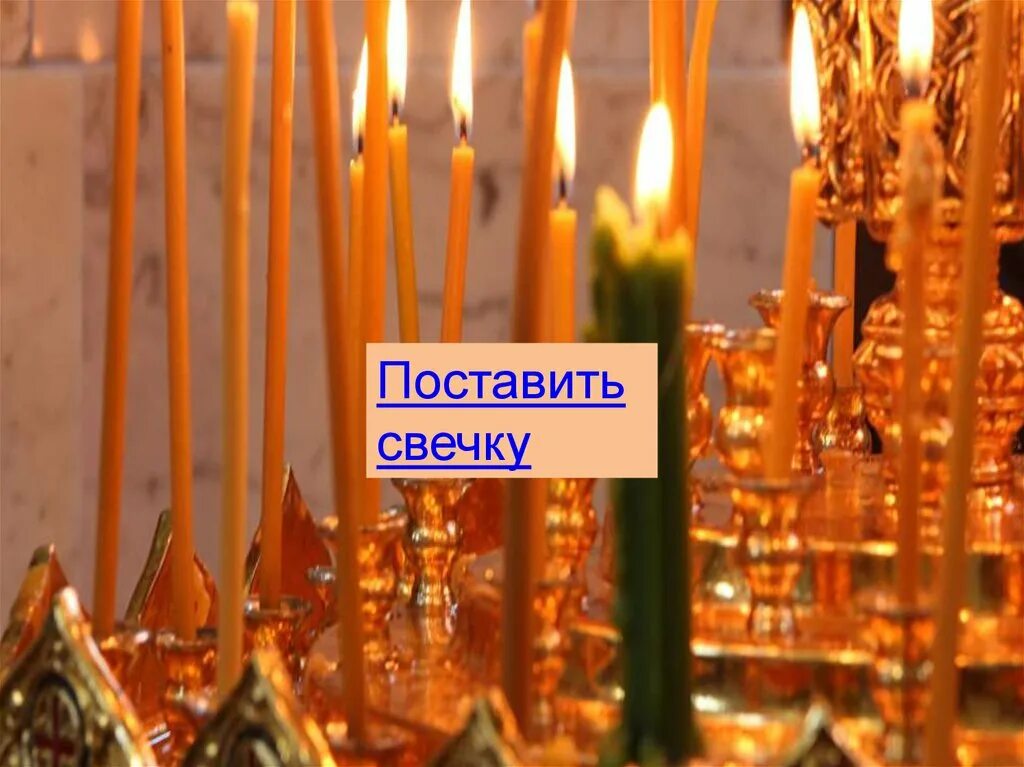 Поставить свечку за экзамен по биологии