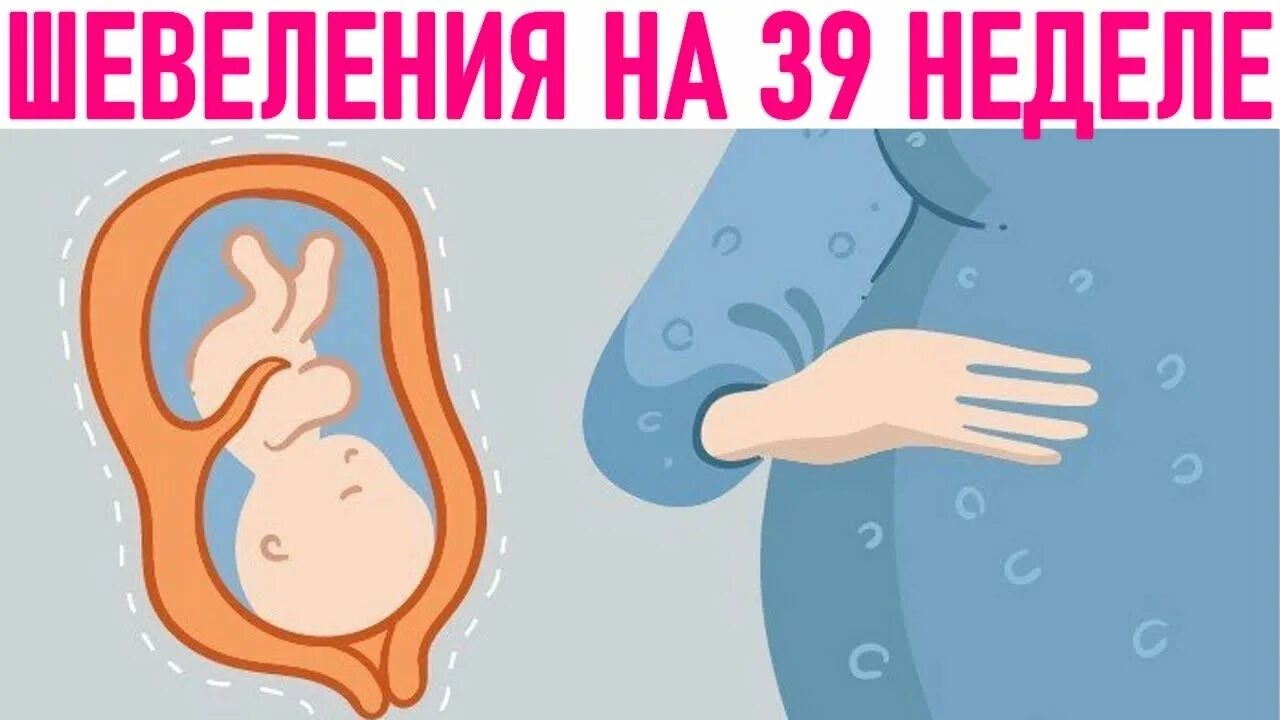 Предвестники родов. Тошнота на 40 неделе беременности. Ребенок активный 40 недель