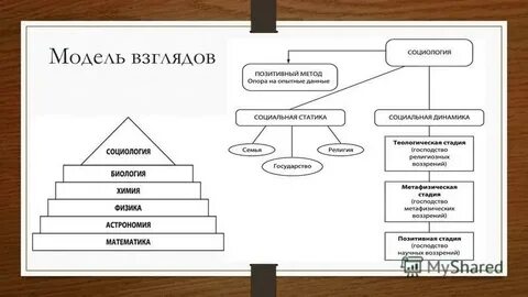 Социологический проект о конта