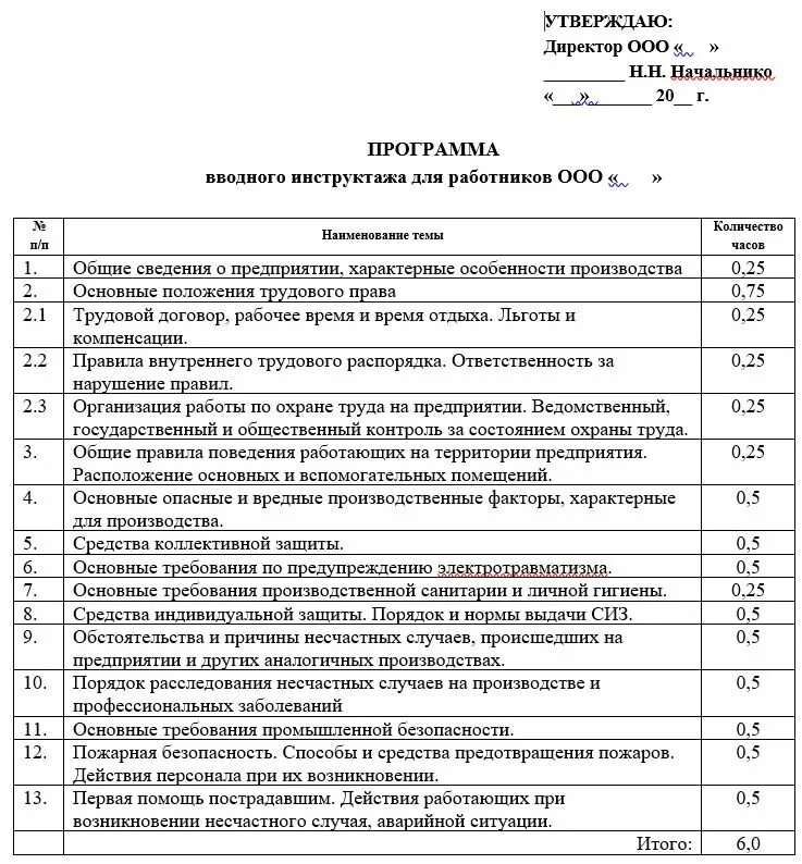 Инструкция проведения вводного инструктажа по охране труда. Программа вводного инструктажа по охране труда образец 2019. программа вводного инструктажа по охране труда 2025 образец. план инструктажа по охране труда пример. программа вводного инструктажа по охране труда 2025.