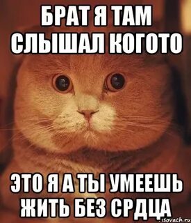 Ты умеешь без