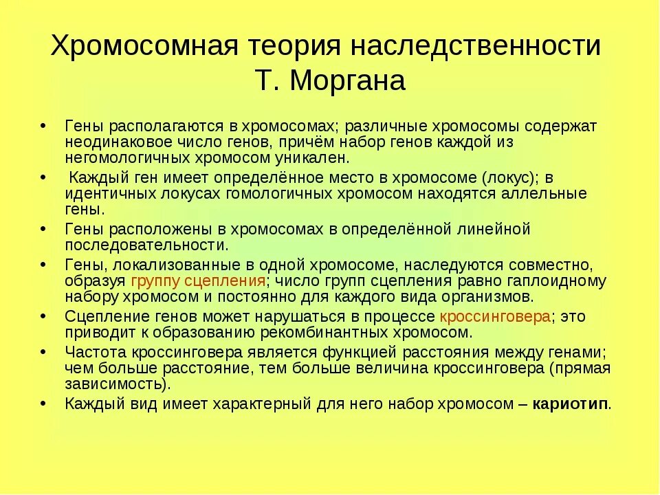 Автором хромосомной теории является. Хромосомная теория наследственности. теории наследственности т. моргана. хромосомная теория наследственности кратко. положения хромосомной теории наследственности моргана.