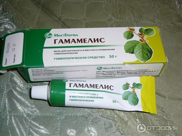 Проктолиф гамамелис мазь. Гамамелис мазь д/наруж примен гомеопат 30г. 30г. Гамамелис супп рект гомеоп №10. Гомеопатическая мазь гамамелис.