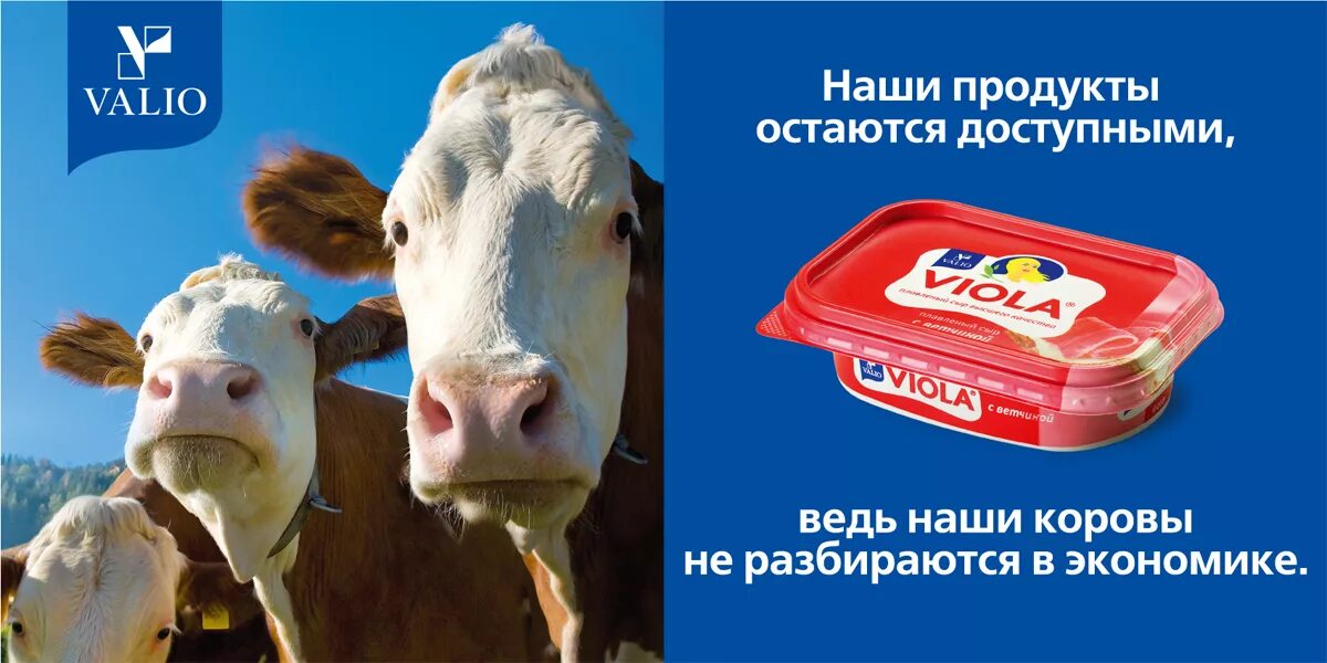 Реклама любого продукта. Реклама продукта. Рекламные слоганы для продуктов. Реклама продуктов. Потребительская реклама.