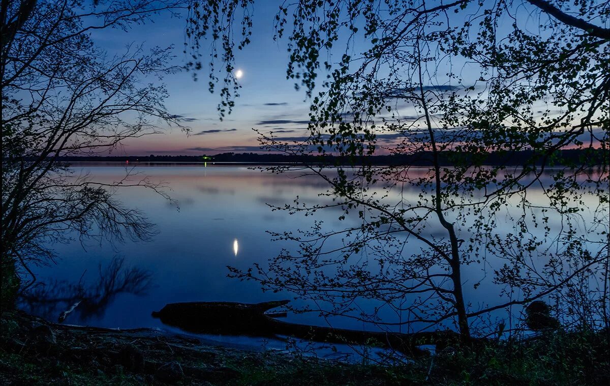последняя майская ночь. майская ночь луна. майская ночь звезды. еще майская ночь фет иллюстрация. майская ночь фет.