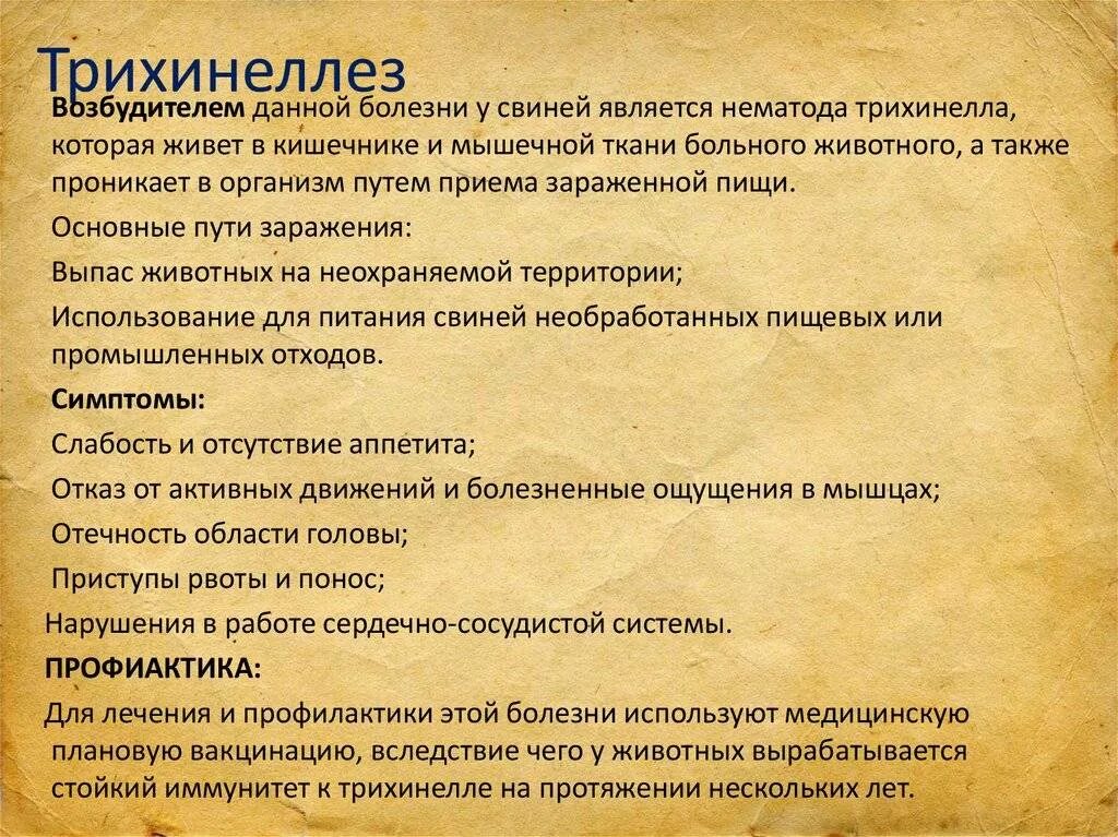 Трихинелла профилактика. Трихинеллез клинические проявления. Трихинелла профилактика. Профилактика заболевания трихинеллезом. Трихинелла профилактика.