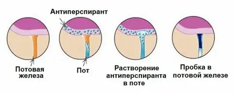 Как действует ее