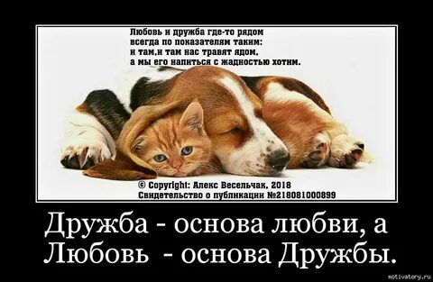 Дружба это быть всегда рядом