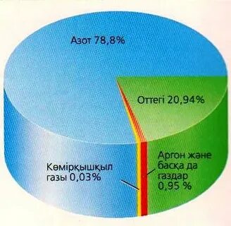 Жер неден тұрады