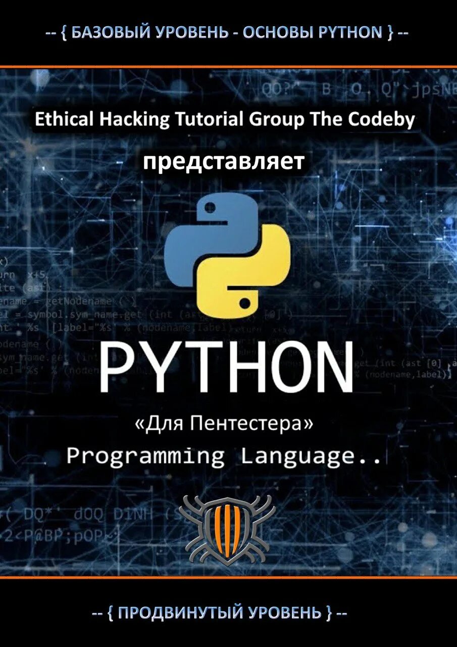 Питон для пентестера codeby сертификат. Курс питон. Пентестер обучение. Курсы Python. Продвинутые курсы python