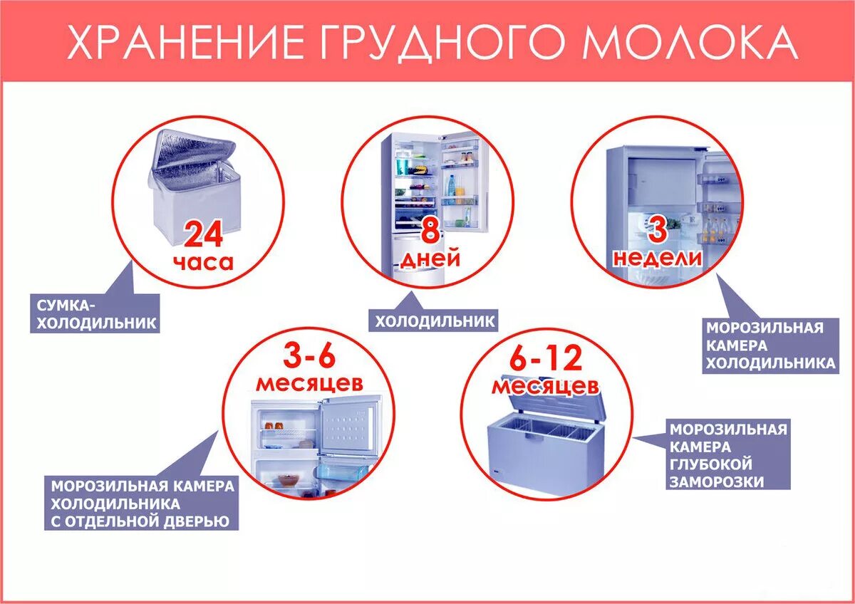 Сколько и где можно хранить. Сколько и как хранится грудное молоко. нормы хранения грудного молока. срок хранения сцеженного грудного молока. срок годности хранения грудного молока.