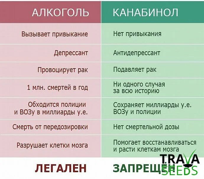 Сколько трава в крови. Марихуана или алкоголь. Алкоголь и марихуана. Сколько держится в крови алкоголь и марихуана.