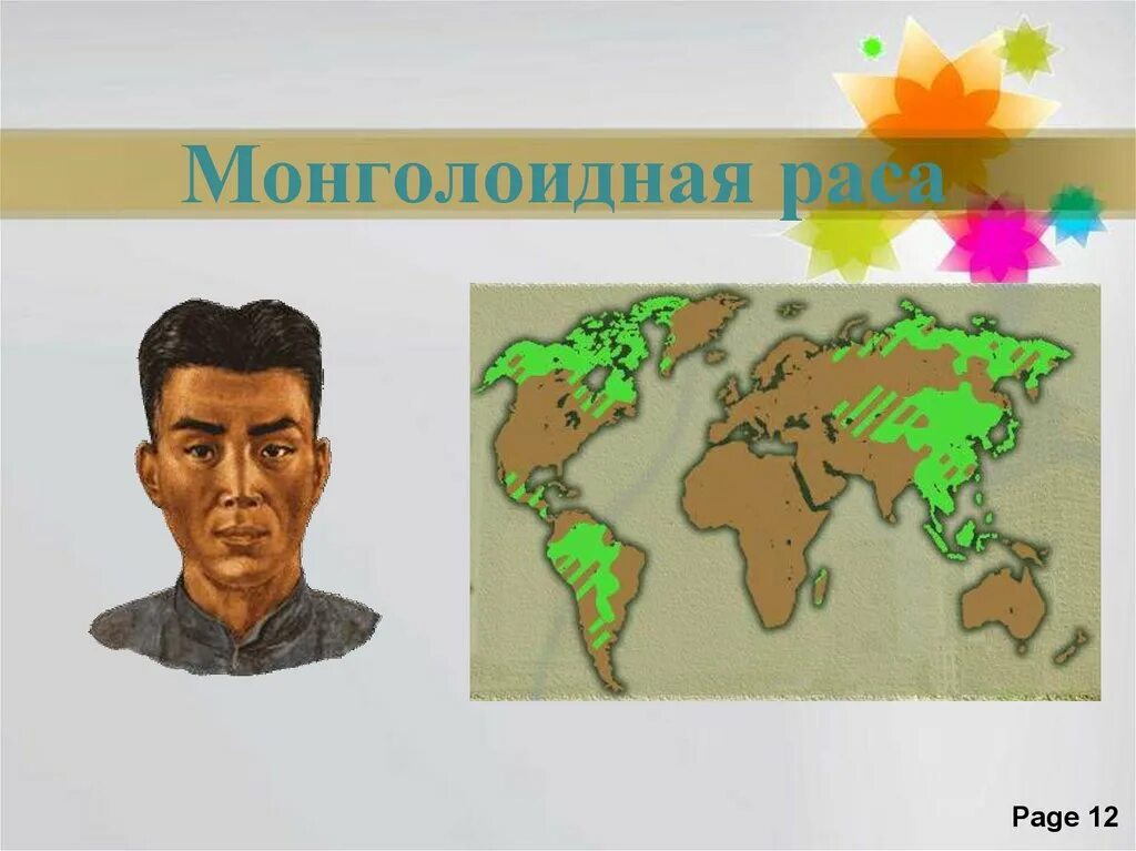 Расы и народы 5 класс. Монголоидная раса. Монголоидная раса народы. Раса география монголоидная народы.