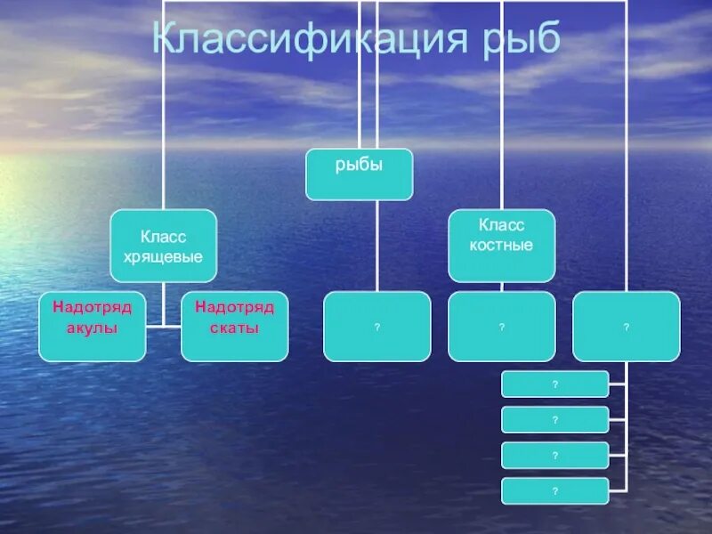 Классификация рыб класс. Классификация рыб. Классификация промысловых рыб. Классификация и систематика рыб. Систематика промысловых рыб.