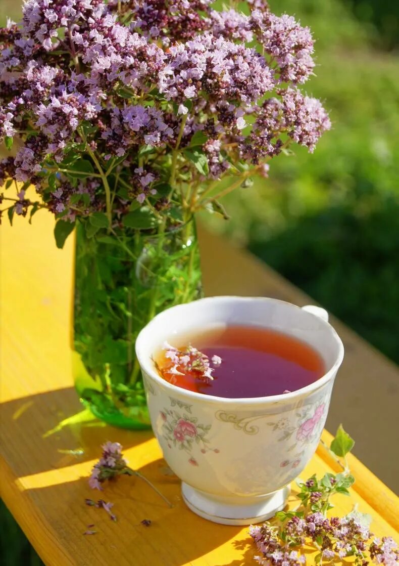 Фаррух мята дары таджикистана. Орегано тимьян чабрец. Трава чабрец польза для организма. Чай с чабрецом противопоказания для женщин. Чабрец можно пить на ночь.