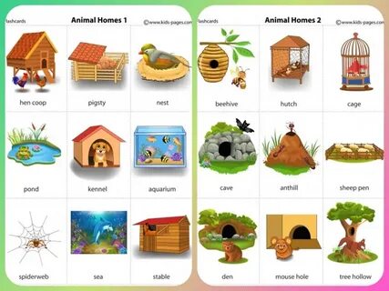Home animals