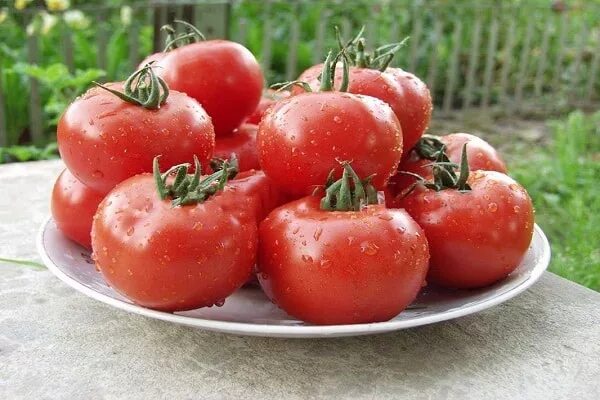 Сад огород медведевых помидоры. Медведев томаты. Томат милашка. Томат ультраскороспелый 0,1г седек. Томат малик.