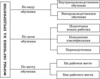 Система практического обучения