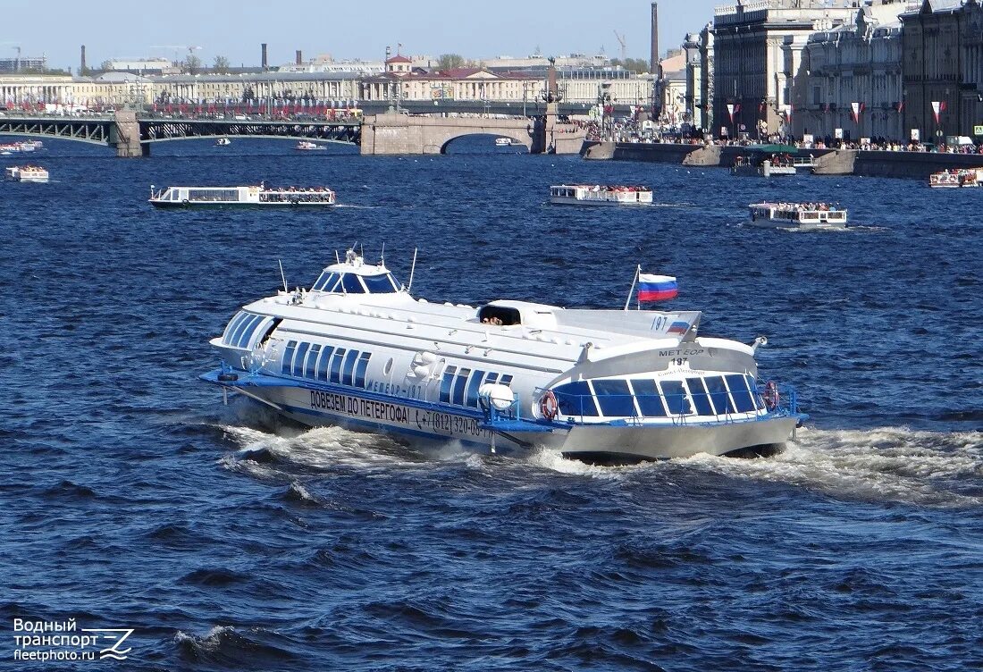 Метеор Санкт-Петербург. Метеор Питер Петергоф. Теплоход Метеор в Санкт-Петербурге. Метеоры в Петергоф 2022.