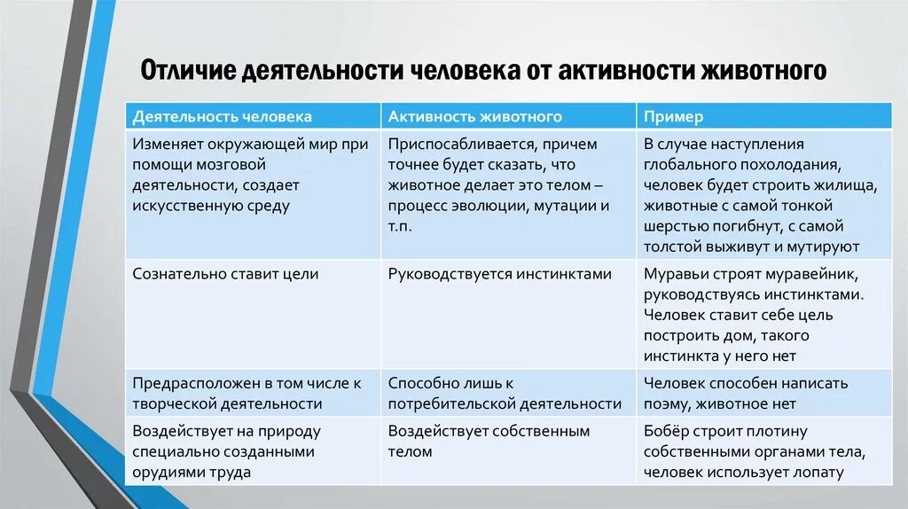 Что отличает деятельность. Сравнительная таблица деятельности животных и человека. Отличие деятельности от активности животных. Отличия деятельности человека от деятельности животного. Таблица сравнения деятельности человека и животного.