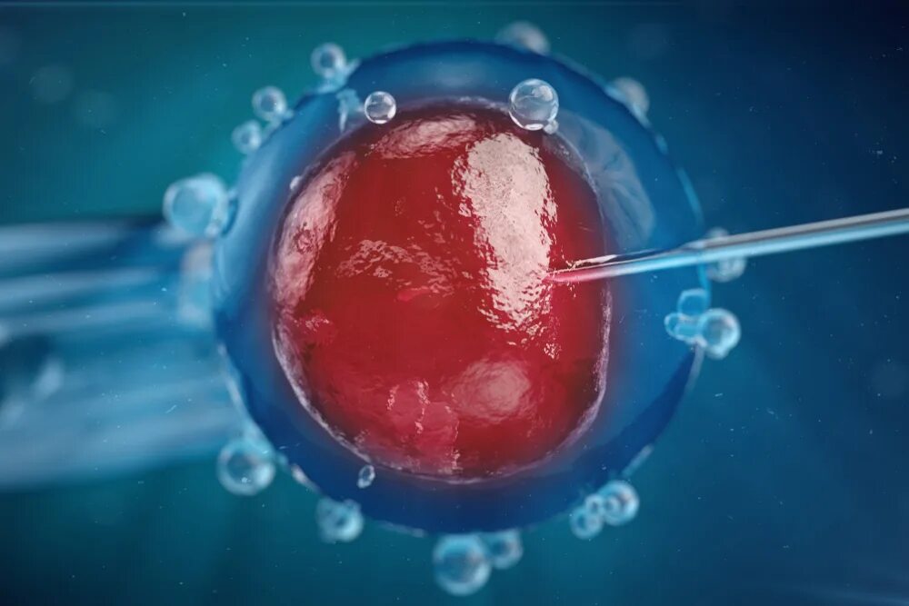 Экстракорпоральное оплодотворение. Яйцеклетка в пробирке. Оплодотворение in vitro. Эко экстракорпоральное оплодотворение.