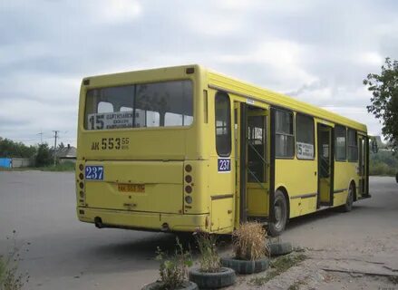 Автобус 237