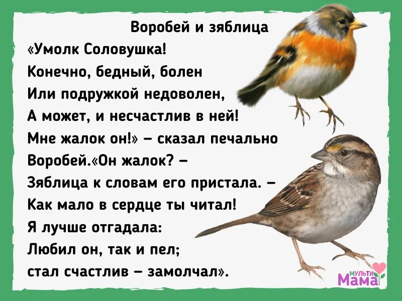 Текст песни воробьев. Воробей и Зяблица Дмитриев. Басня Воробей Дмитриева. Басня Воробей и Зяблица. Басня про воробья.