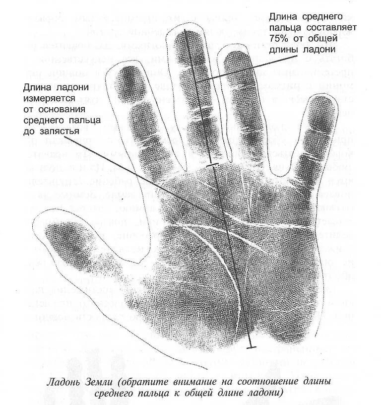 Пальцы в хиромантии. Хиромантия форма ладони. Типы рук в хиромантии. Форма руки хиромантия. Участки ладони.