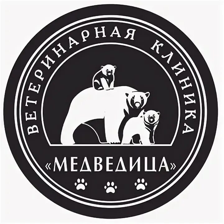 Медведица иваново. Медведица логотип. Центр большая медведица липецк. Медведица иваново. Медведь медведица медвежонок.
