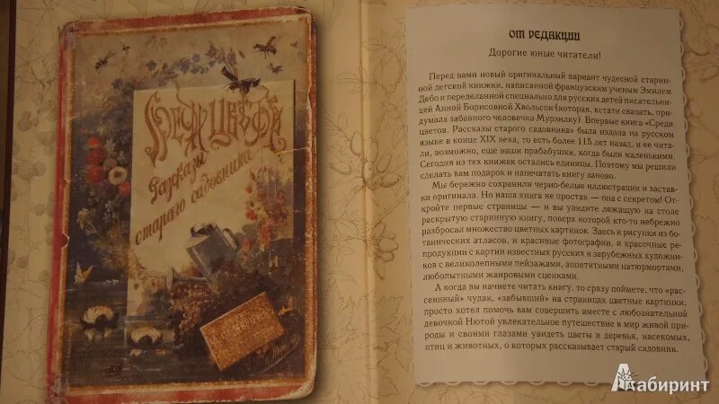 Произведение старой литературы. Старый садовник рассказ. Чехов рассказ садовника.