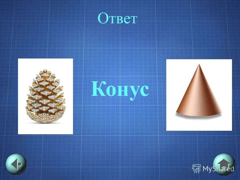 тест по теме конус ответы