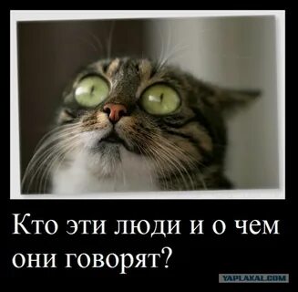 Отпусти трава