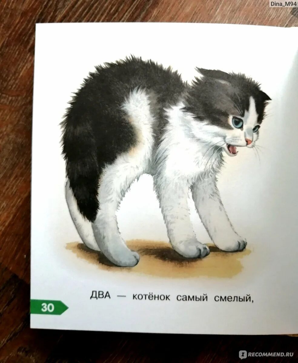 Л н толстой котенок читать