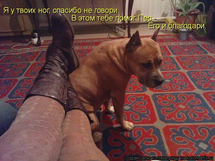 я у твоих ног текст. я у твоих ног спасибо слушать. я у твоих ног спасибо слушать. ваенга шопен ноты для фортепиано. я у твоих ног спасибо слушать.