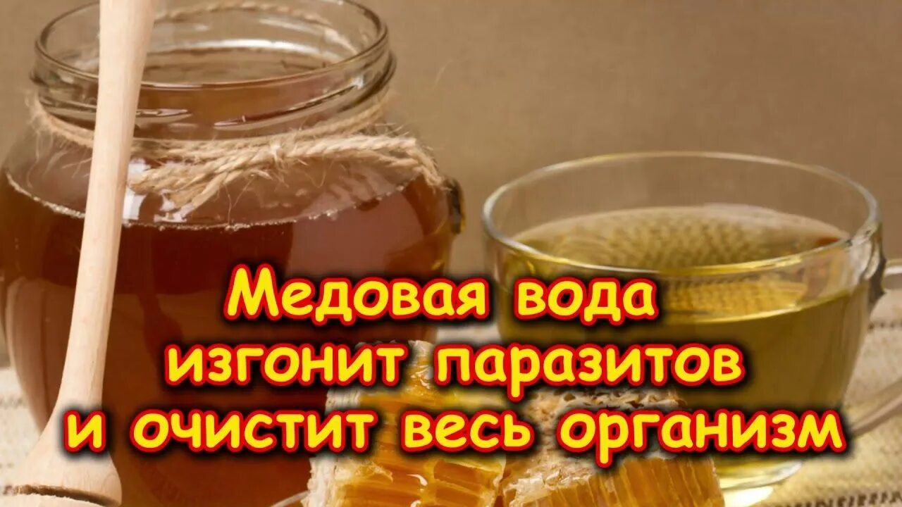 Медовая вода для организма. Медовая вода изгонит паразитов. Медовая вода. Медовая вода от паразитов. Медовая вода утром.