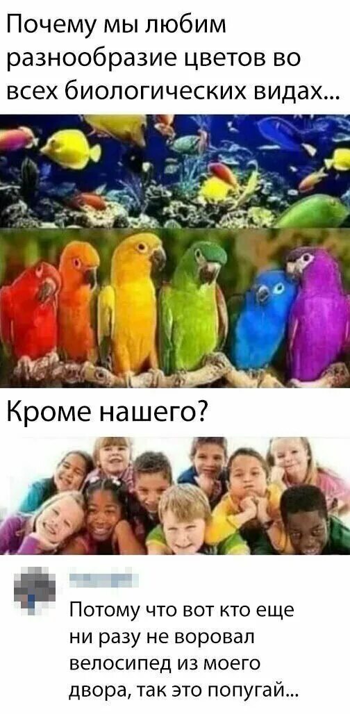 Любит разнообразие. Люблю разнообразие. попугай негр. анекдот про негра и попугая. кто любит разнообразие приколы.