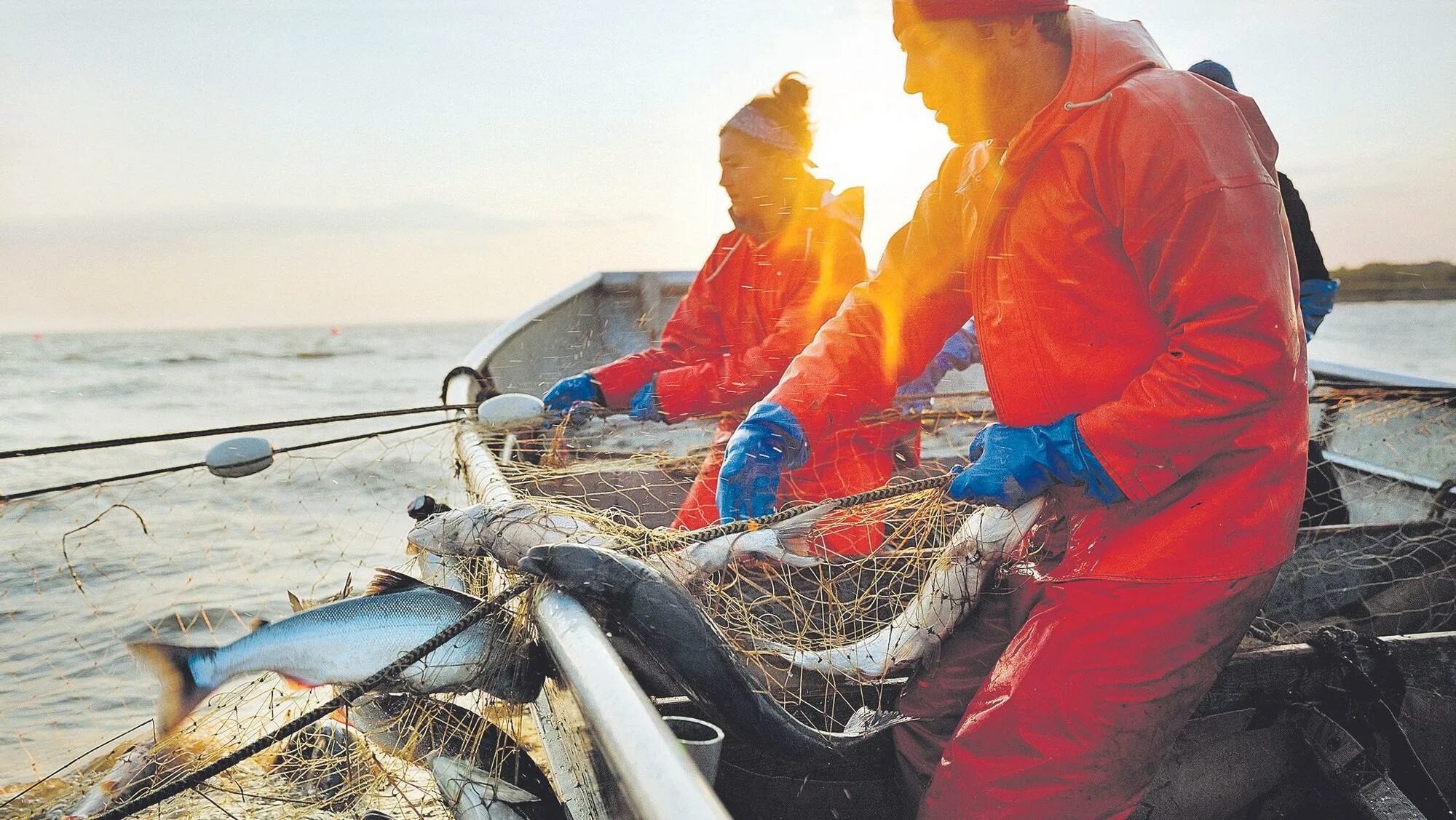 Промысел рыбы. Добыча рыбы. Рыбаки на промысле. Морское рыболовство. Мировой улов