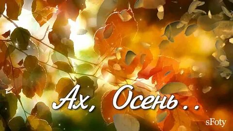 Осень осень золотая дождь по клавишам играет