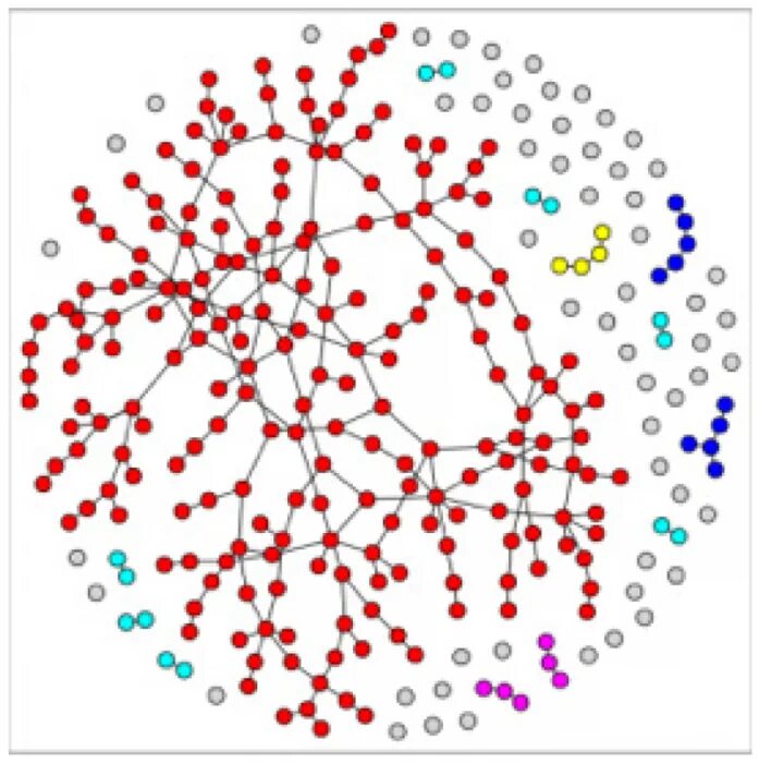 Случайный граф. Random network. Random network. Scale-free networks. Random network.