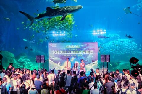Sophia Cai on road show for The MEG in Guangzhou cinemas 2018. 