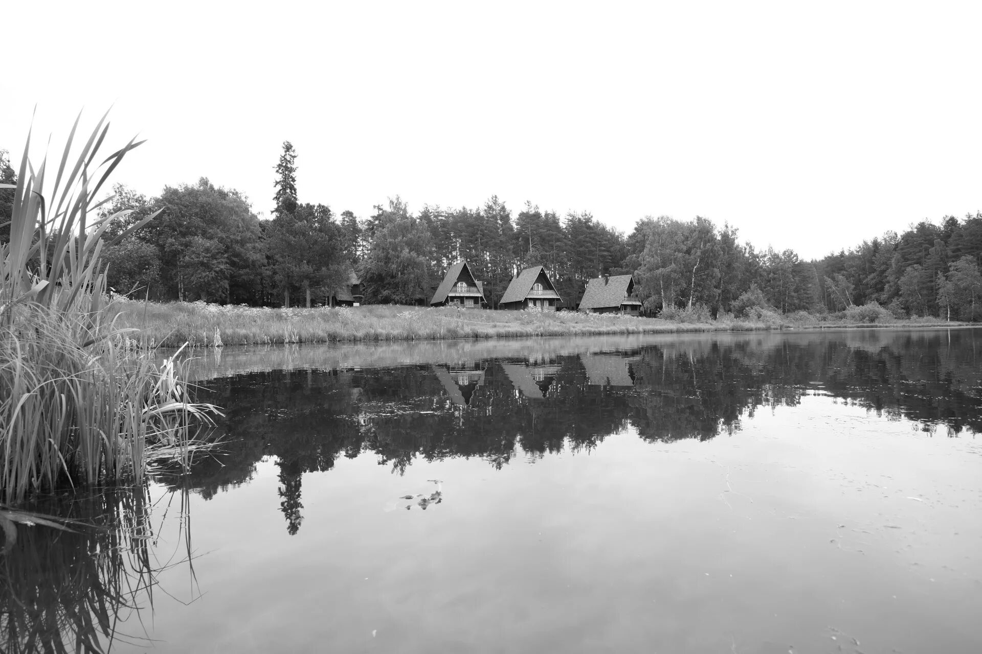 Водоемы костромы