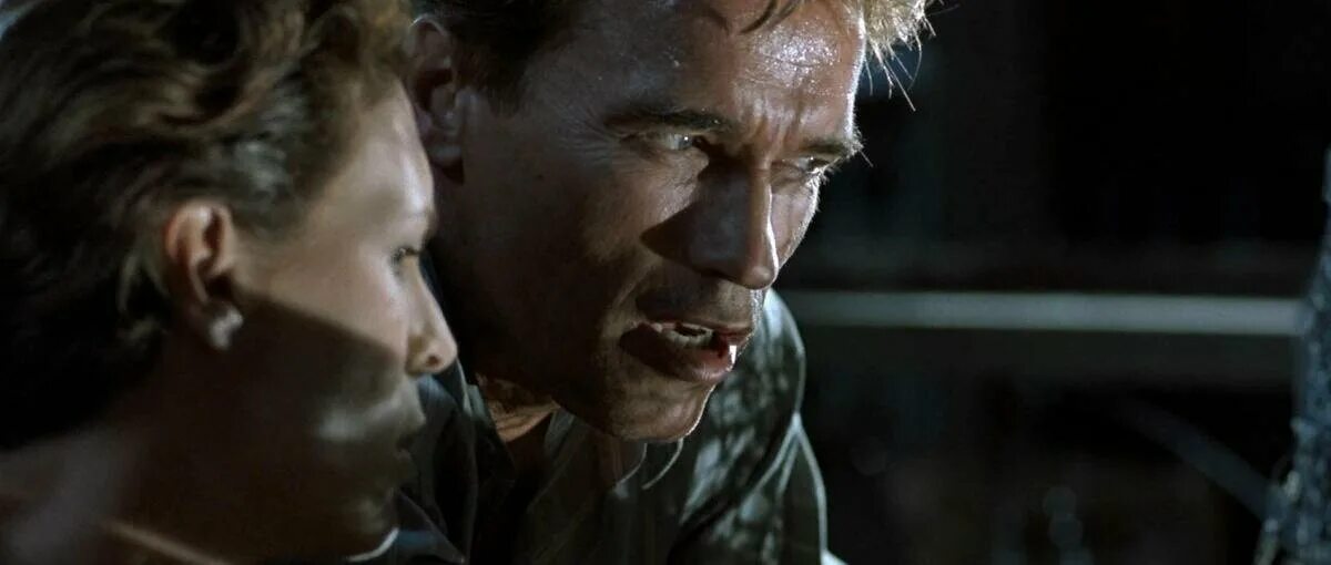 правдивая ложь. правдивая ложь год выпуска. джейми ли кёртис в фильме правдивая ложь. True lies 1994. тиа каррере джейми ли кертис.