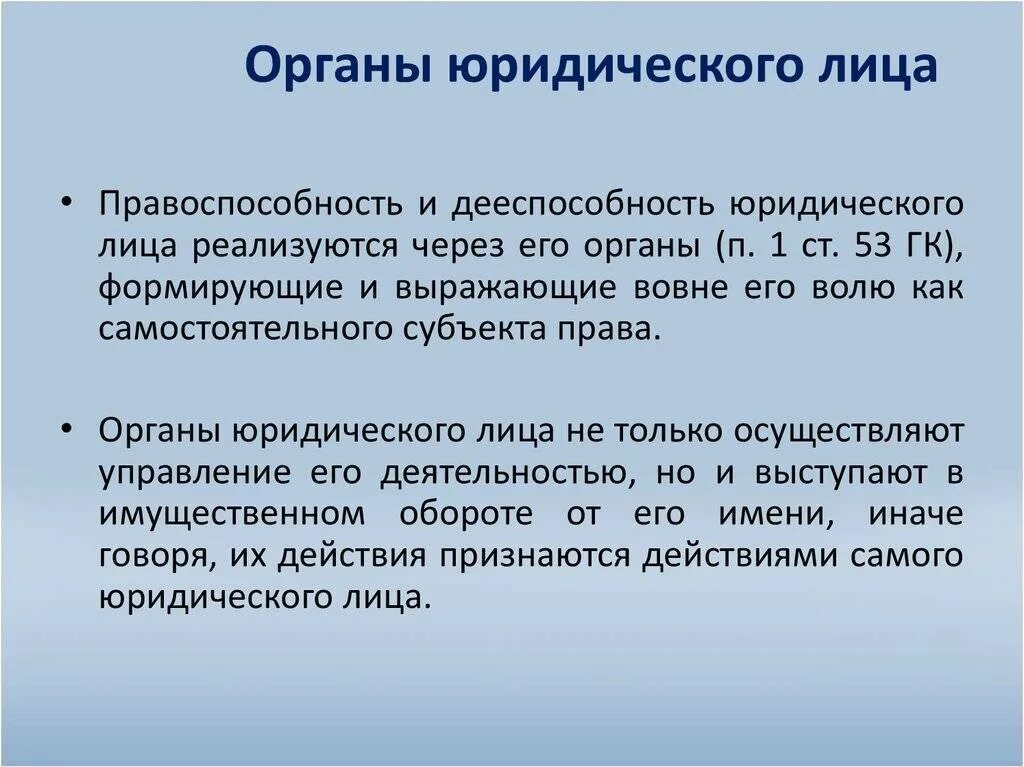 Лицо осуществляющее функции единоличного исполнительного органа