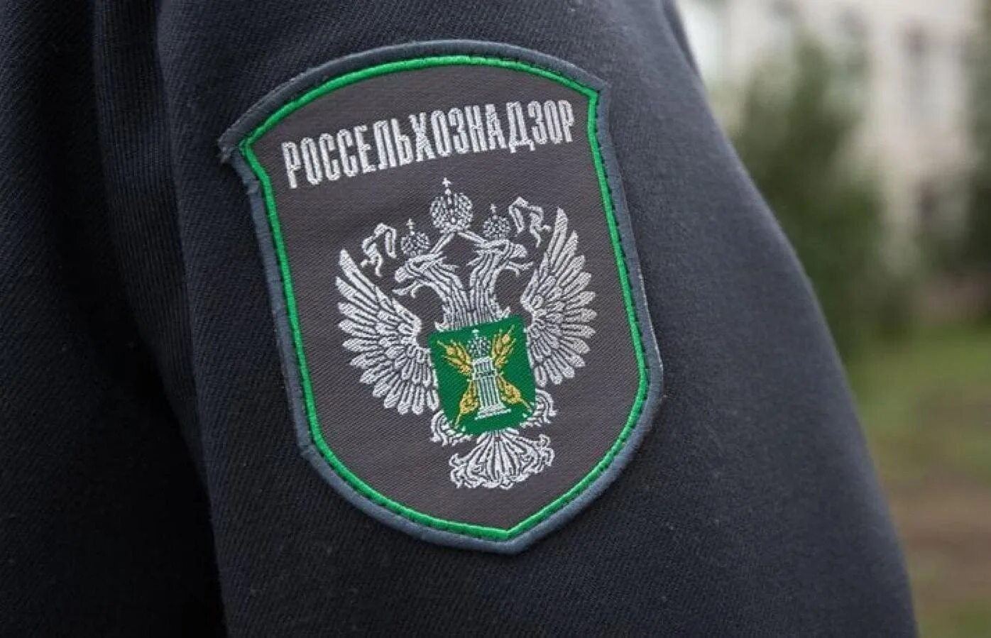 Сайт управления россельхознадзора. Россельхознадзор ветеринарный надзор. россельхознадзор дагестан. герб россельхознадзора. россельхознадзор фото.
