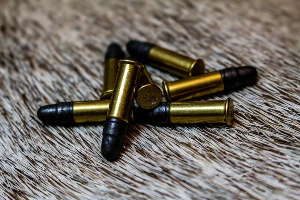 22 long rifle