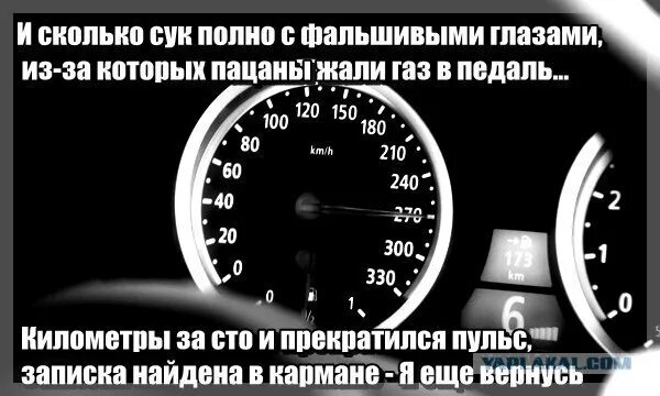 Сколько длится течка у собак. Педаль в пол мем. Сколько сук. Сколько длится т4чка у собака. Контрсекс нео для кошек и сук 10таб.